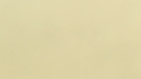 Su comunidad en Grapevine lo recuerda como un hombre trabajador, dedicado a su familia y muy querido en el sector gastronómico local.