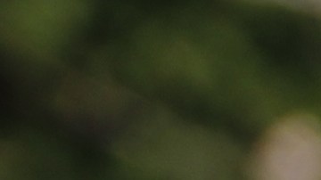 La Oficina de Investigación de Georgia asumió el caso para analizar tanto el doble homicidio como el tiroteo en el que murió el agresor.