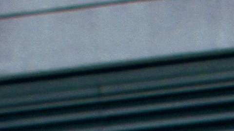 La policía de Nueva York investiga el caso como un homicidio-suicidio.