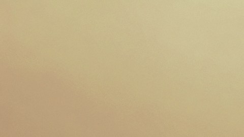 La Oficina de Investigación de Georgia (GBI) detuvo a Simmons el 3 de noviembre sin incidentes.