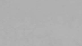 La policía no les imputó cargos por el acto íntimo.