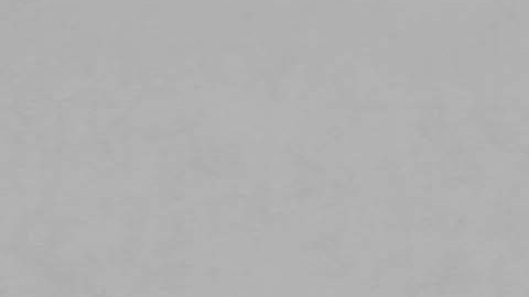 La policía no les imputó cargos por el acto íntimo.