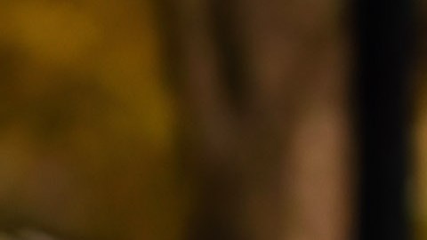 Si es declarado culpable, podría enfrentar hasta 30 años de cárcel.