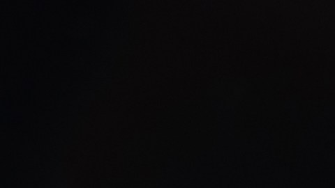 El historial de reels muestra todos los videos que has visto sin importar si les diste o no me gusta