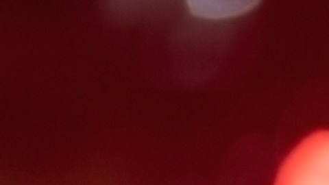 Cuatro personas resultaron heridas, tres de ellas en estado crítico, tras un intercambio de disparos durante la ceremonia anual de iluminación del árbol de Navidad en Concord