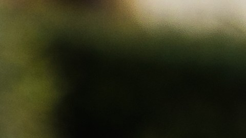 La policía busca a un tercer sospechoso que huyó del lugar.