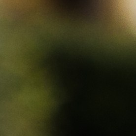 Las autoridades investigan qué detonó el ataque que también hirió al abuelo del sospechoso.