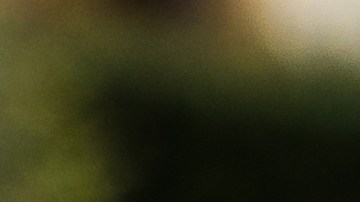 Las autoridades investigan qué detonó el ataque que también hirió al abuelo del sospechoso.