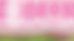 Youtube Kids cuenta con funciones especialmente diseñadas para que los padres puedan tener un mayor control de lo que ven sus hijos