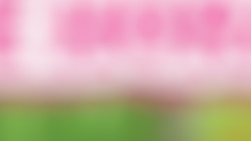 Youtube Kids cuenta con funciones especialmente diseñadas para que los padres puedan tener un mayor control de lo que ven sus hijos