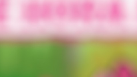 Youtube Kids cuenta con funciones especialmente diseñadas para que los padres puedan tener un mayor control de lo que ven sus hijos