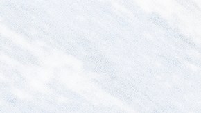 El incidente ocurrió menos de un mes después de otro accidente doméstico causado por un perro.