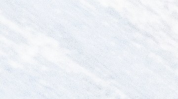 El incidente ocurrió menos de un mes después de otro accidente doméstico causado por un perro.