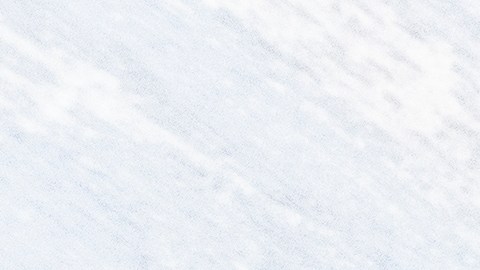 El incidente ocurrió menos de un mes después de otro accidente doméstico causado por un perro.