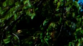 El poblado de Camilla, donde ocurrió la tragedia, se encuentra a unas 65 millas (105 kilómetros) al noreste de Houston.