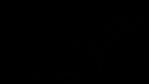 Ritmo es un juego del tipo “endless runner” en el que los usuarios controlan a una versión animada de J Balvin que corre, salta y se desliza por el mapa