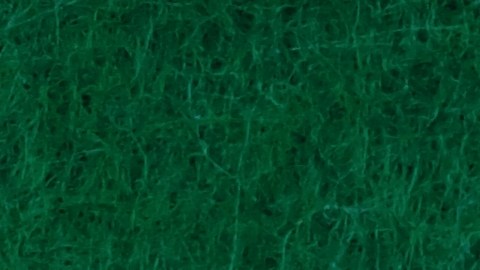 Turner desapareció el jueves, mientras su equipo se preparaba para enfrentar los playoffs estatales.