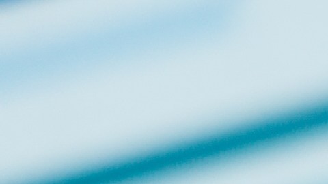 Google Wallet permite que cargues la información de tu pasaporte y otros documentos de identificación