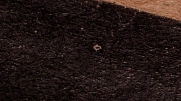 Parte de los reembolsos serán pagados de forma automática por Amazon a usuarios que cumplan con ciertos requisitos