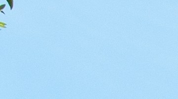 El sospechoso, Benji Martin Jr., de 29 años y residente de Garner, fue detenido y acusado de asesinato, señalaron las autoridades.