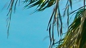 Fue acusado formalmente de amenazas escritas de muerte o lesiones corporales y permanece detenido con una fianza fijada en $250,000 dólares