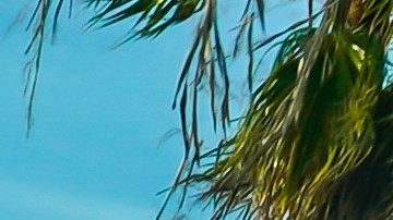 Fue acusado formalmente de amenazas escritas de muerte o lesiones corporales y permanece detenido con una fianza fijada en $250,000 dólares