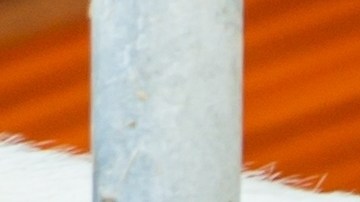 Las autoridades estatales continúan investigando las condiciones de seguridad laboral en la lechería