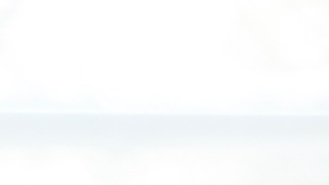 Los usuarios pueden encontrar el Easter Egg al escribir el nombre de la serie en el buscador de Google