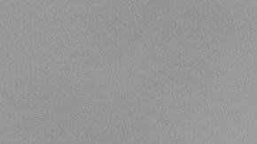 Si son declarados culpables por el cargo de conspiración, podría resultar en cadena perpetua en prisión federal