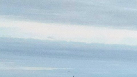 Una investigación federal apunta a que Anna Kepner, una joven de 18 años encontrada muerta a bordo del Carnival Horizon, falleció por asfixia producto de una llave de brazo.