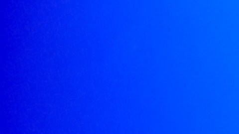 La nueva función de autocompletado de formularios se encuentra disponible con la más reciente actualización de Google Chrome