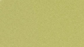 Una jueza del Bronx advirtió que solo aceptará un acuerdo de culpabilidad si enfrenta la condena máxima por crueldad animal.