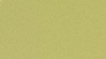 Una jueza del Bronx advirtió que solo aceptará un acuerdo de culpabilidad si enfrenta la condena máxima por crueldad animal.