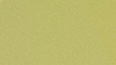 Una jueza del Bronx advirtió que solo aceptará un acuerdo de culpabilidad si enfrenta la condena máxima por crueldad animal.