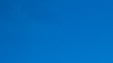 Un sospechoso se encuentra detenido mientras continúa la investigación.