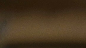 La Junta Nacional de Seguridad en el Transporte (NTSB) abrió una investigación para determinar la causa del siniestro.