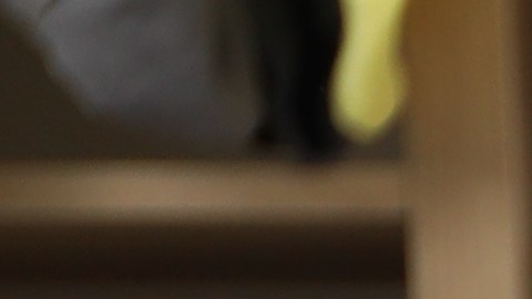 El signo zodiacal pudiera influir en una persona desordenada, según la astrología.