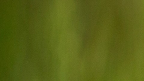 El fin del otoño trae suerte para 3 signos del zodiaco.