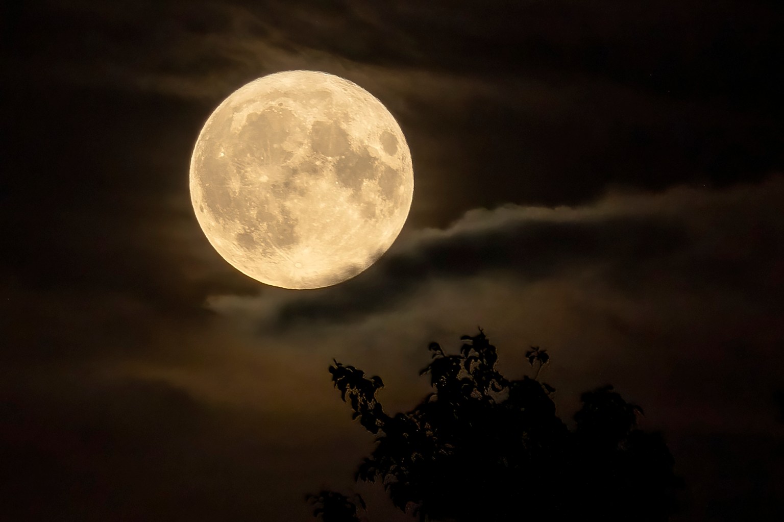 La luna llena de noviembre es la segunda superluna de 2025.
