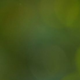 Las cartas del tarot anuncian un ciclo positivo para algunos signos.