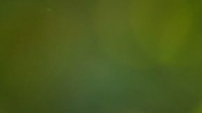 Las cartas del tarot anuncian un ciclo positivo para algunos signos.