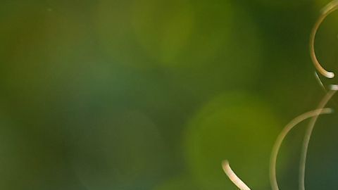 Las cartas del tarot anuncian un ciclo positivo para algunos signos.