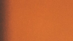 Aunque hoy es el símbolo absoluto de Thanksgiving, el pavo no formó parte del banquete original de 1621.