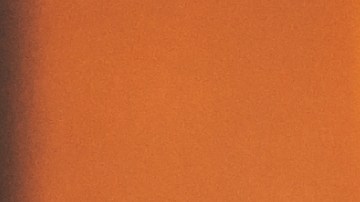 Aunque hoy es el símbolo absoluto de Thanksgiving, el pavo no formó parte del banquete original de 1621.