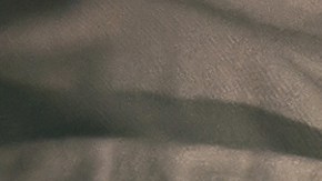 Cada signo puede ser representado por un platillo de la cena de Acción de Gracias.