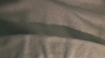 Cada signo puede ser representado por un platillo de la cena de Acción de Gracias.