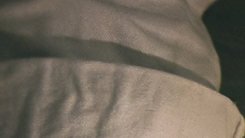 Cada signo puede ser representado por un platillo de la cena de Acción de Gracias.