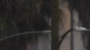 Los Ángeles y otras partes del sur de California experimentarán lluvias más intensas a partir de la noche del viernes y durante todo el sábado.