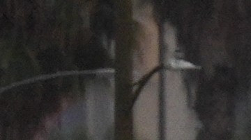 Los Ángeles y otras partes del sur de California experimentarán lluvias más intensas a partir de la noche del viernes y durante todo el sábado.