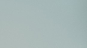 El trébol de 4 hojas es un símbolo de suerte.